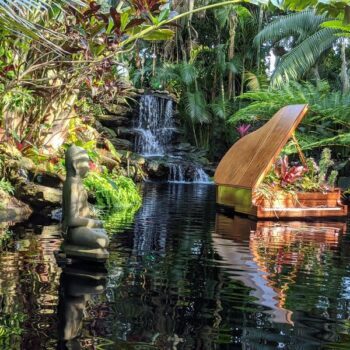 You Can Wander Among 6,000 Orchids at This World-Famous Sarasota Botanical Paradise