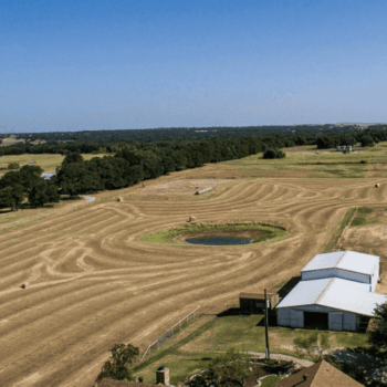 Texans Fill Their Freezers Straight From The Pasture At This Family Farm