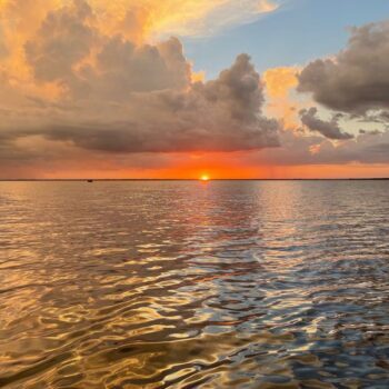 23 Best Day Trips From Tampa That Follow Florida's Prettiest Stretch of Gulf Coast