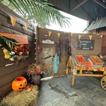 8 Pick-Your-Own Farms Near Plant City Where a Few Dollars Fills a Whole Basket