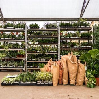 This Phoenix, Arizona Garden Market Lets You Browse Endless Plants With Coffee In Hand And A Boutique Out Back
