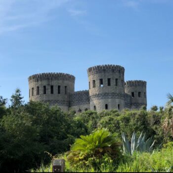 There's a Fascinating Irish Castle Hiding in Florida That Almost Nobody Has Heard Of