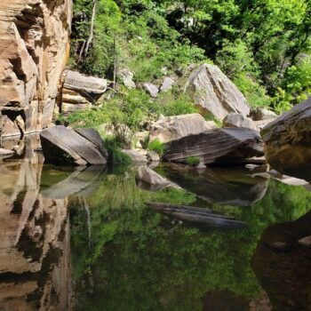 This Hidden Arizona Garden Trail Leads To A Crystal-Clear Spring In Land That Looks Far Too Dry
