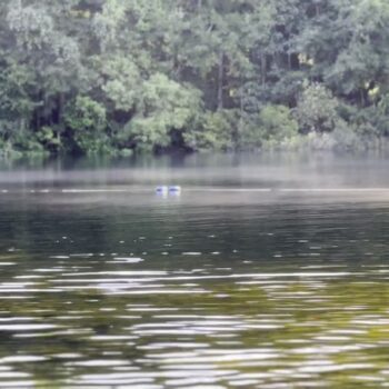 Wakulla Springs Lodge Near Tallahassee Still Serves Lunch Like It's 1937