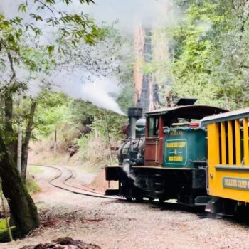 Riding This California Railroad Puts You Behind Real Steam Engines From the 1890s