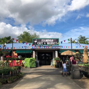 This South Florida Garden Market Lets You Browse Endless Plants With Coffee In Hand And A Gift Shop Out Back
