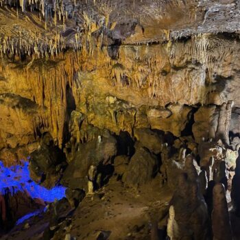 This Florida Attraction Hides an Underground Secret That's Cooler Than You'd Ever Guess