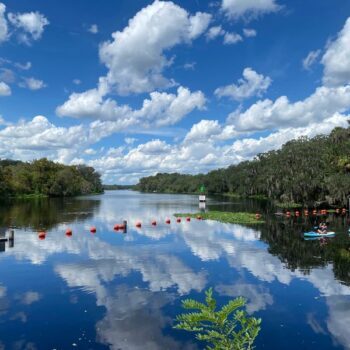 10 Gorgeous Florida Towns That Prove the Best Day Trips Don't Cost a Fortune
