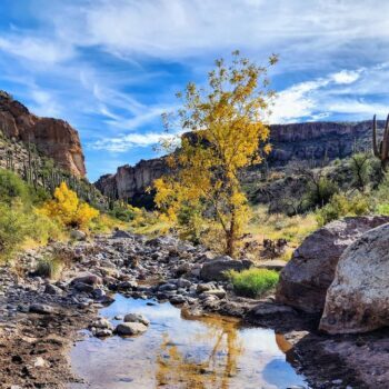 7 Arizona Spots Where You're Actually Allowed To Dig, Pan Or Hunt Gems Or Gold And Keep Them