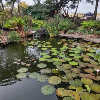 There's a Secret Garden Hiding on a Florida Beach That Most Visitors Walk Right Past