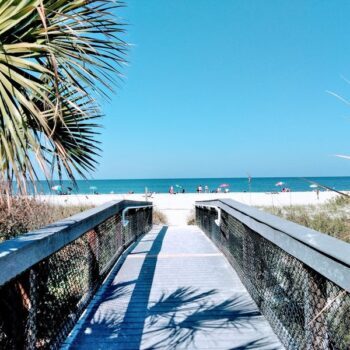 9 Florida Beaches Where Fossilized Shark Teeth Wash Up for Anyone Willing to Look