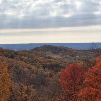 The Most Beautiful Forest In Indiana Is Easier To Reach Than You Think