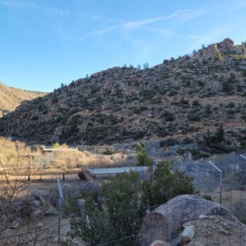 Route 66 Hides A 175-Acre Arizona Wildlife Sanctuary Almost No Traveler Sees Coming