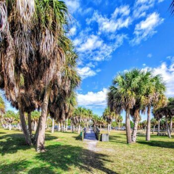 10 Reasons You'll Fall Hard for Dunedin, Florida on Your First Day Trip