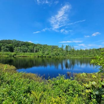 Ohio Quietly Holds A 12,000-Year-Old Glacial Bog Lake Most Visitors Never Notice