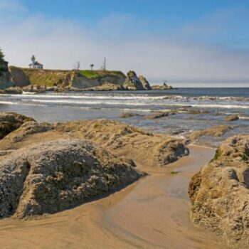 10 California Beaches And Bluffs Where You Hunt For Fossils, Sea Glass, Or Pebbles All Winter