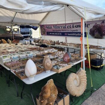 7 Arizona Swap Meets And Flea Markets Where Bargain Hunters Lose An Entire Saturday