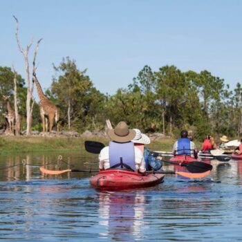 This Florida Zoo Lets You Kayak Right Past Roaming Zebras and Giraffes
