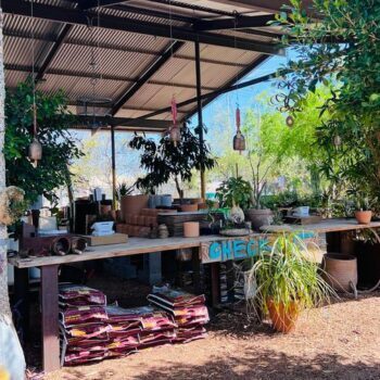 This 30,000-Square-Foot Phoenix Garden Market Feels Like Stepping Into A Green Oasis In The City