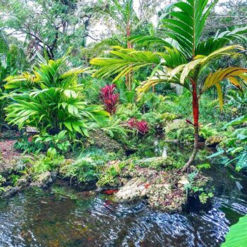 This Broward Arboretum Is the Free Little Escape Locals Want to Keep to Themselves