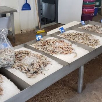 The Fresh Gulf Catch At This No-Frills Texas Seafood Market Has Kept Locals Loyal For 65 Years