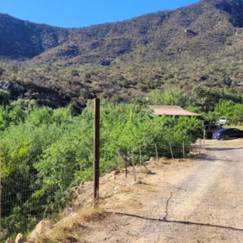 This Seasonal Arizona Orchard Lets You Pick Peaches And Apples In A Cool Mountain Setting