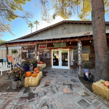 This Beloved Farm Near Queen Creek Lets You Pick Peaches, Ride A Train, And Eat Fresh-Baked Pie