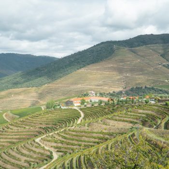Duoro Valley terraced vineyards - best wine regions of Europe