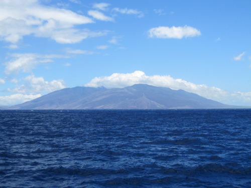 What to do on Maui with kids - snorkeling at Molokini